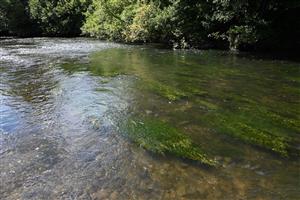 Pohľad na časť TML