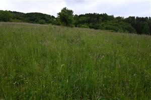 Pohľad na s. časť TML