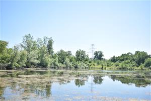 Celkový pohľad na monitorovanú lokalitu.