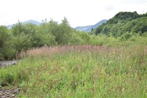 Celkový pohľad na monitorovanú lokalitu.