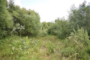 Celkový pohľad na monitorovanú lokalitu.