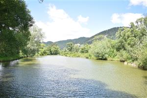 Celkový pohľad na monitorovanú lokalitu.