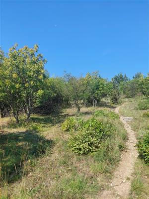 Lokalita
