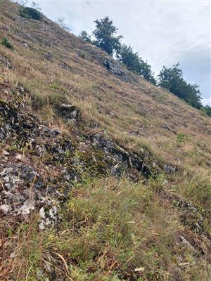 Lokalita