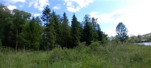 Celkový pohľad na monitorovanú lokalitu.