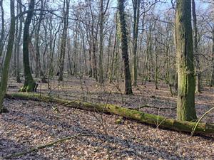 Fotografia zachytáva biotopy v TML.