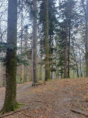 Fotografia zachytáva biotopy v TML.