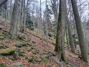 Fotografia zachytáva TMP.