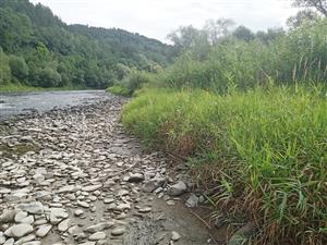 Štrkové lavice bez vegetácie, porasty Phalaroides arundinacea a mladých vŕb Salix fragilis