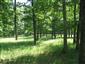 TML Hodrušská hornatina_TMP2