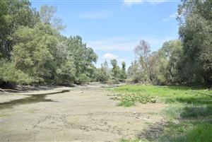 Celkový pohľad na monitorovanú lokalitu.