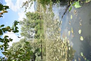 Celkový pohľad na monitorovanú lokalitu.