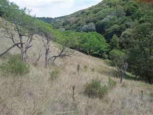 Celkový pohľad vo východnom polygóne