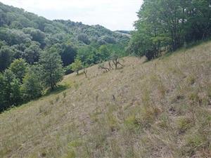 Celkový pohľad v západnom polygóne