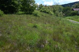 Pohľad na časť TML