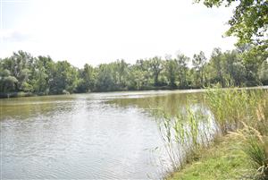 Celkový pohľad na monitorovanú lokalitu.