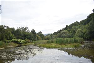 Celkový pohľad na monitorovanú lokalitu.