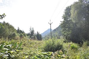 Pohľad na plochu s čiastočne odstráneným porastom následkom výrubu pod elektrickým vedením.