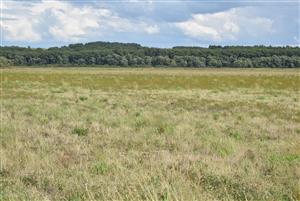 Celkový pohľad na monitorovanú lokalitu.