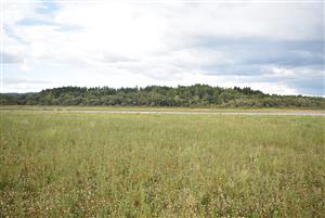 Celkový pohľad na monitorovanú lokalitu.