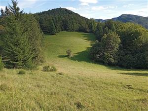 Pohľad na extenzívne pasenú časť TML s biotopom Lk1