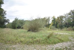 Celkový pohľad na monitorovanú lokalitu.