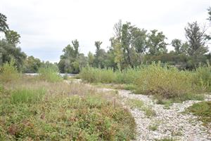 Celkový pohľad na monitorovanú lokalitu.