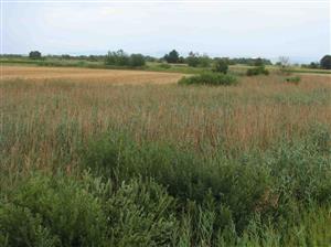 Časť biotopu línie odchytu