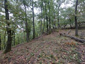 pohľad na TML - Trenč, foto: 25.9.2025, D. Vazanová