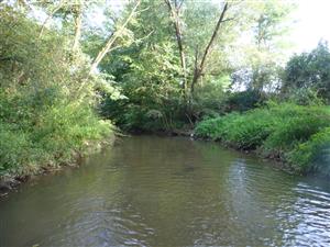 začiatok TMP Krivánsky potok Tomášovce proti prúdu