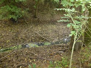 Kolársky kanál - vypustený asi 1 km nad monitorovanou plochou