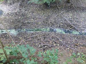 Vyschnutý Kolársky kanál 1 km nad lokalitou