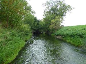 začiatok TMP Trnávka Opoj po prúde