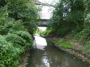 koniec TMP Trnávka Opoj proti prúdu