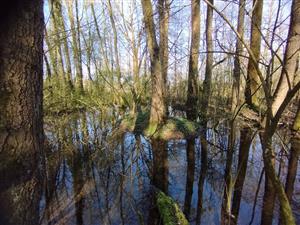 Interiér TML - vodné plochy