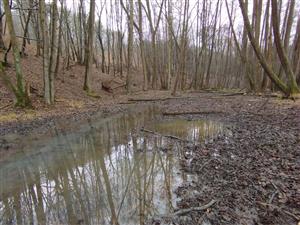 Vodná plocha na TML.