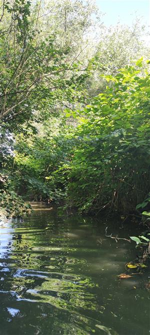 Šard_Matúškovo_začiatok lokality_proti prúdu