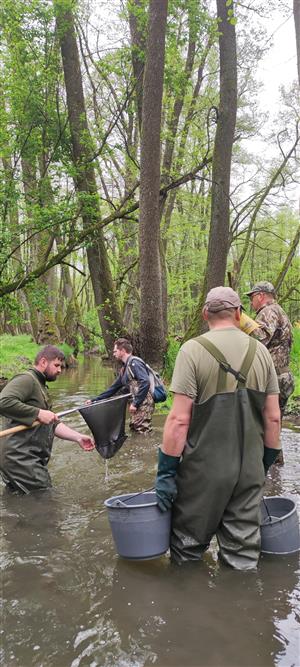 Malina_východne od Malaciek_stred lokality