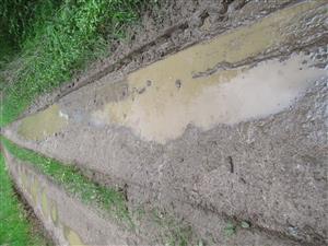 Biotop druhu Bombina variegata