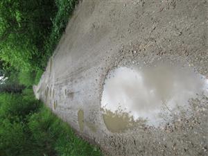 Biotop druhu Bombina variegata 