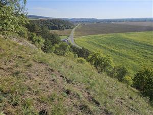 Pohľad na TML, porast s prevahou Stipa eriocaulis.
