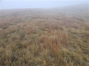 Pohľad na TMP a aj celkovo charakter TML - širšie pohľady žiaľ tento krát počasie nedoprialo.