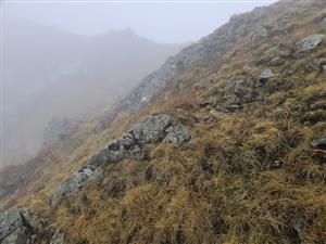 Pohľad na lokalitu.