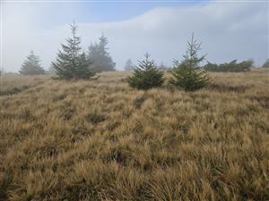 Pohľad na TMP - lokalizované oproti smerovníku.