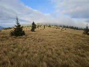 Pohľad na lokalitu, foto ako predchádzajúce mapovanie.