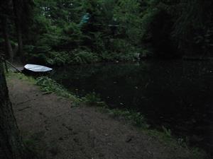  malá vodná nádrž v lese, neďaleko dve chaty 