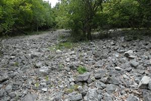pohľad na lokalitu