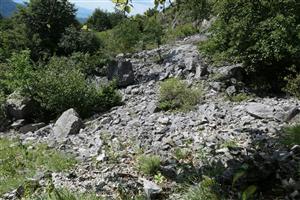 pohľad na lokalitu
