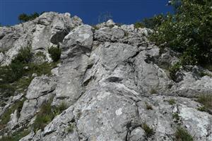 pohľad na lokalitu
