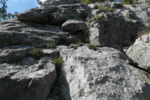 detail